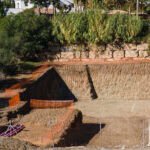 Foto del perfil de Dario